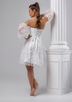 молочныйбабочки